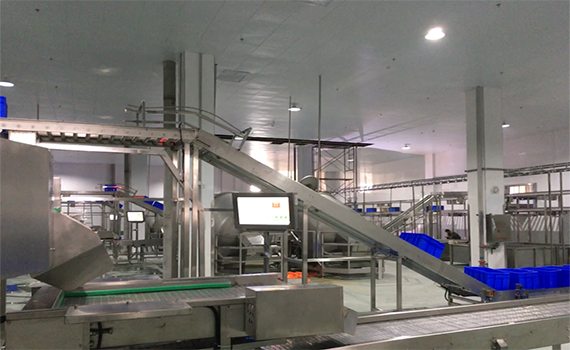 冠猴智能：引領食品廠整廠改造