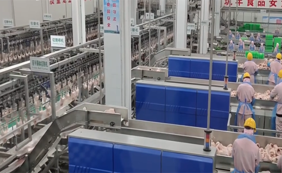 冠猴智能-食品加工廠輸送線方案解決專家