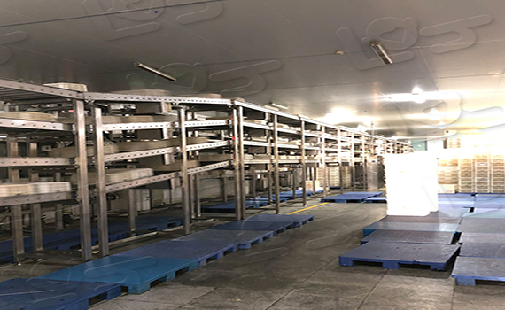 非標(biāo)自動化倉儲式輸送線：制造業(yè)升級的新引擎