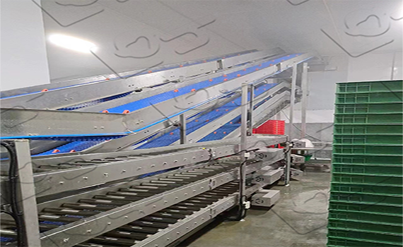 節能型雙排鏈條輸送線：非標定制助力碳中和，單線能耗降低30%