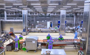 從標準到品牌，春雪食品的自動化雞肉生產線滿足世界需求