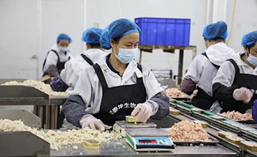 寵物食品自動(dòng)化生產(chǎn)線 助力中國(guó)寵物食品飛速發(fā)展