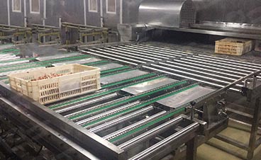 （二）在線清洗（CIP）系統設計在食品生產中的應用