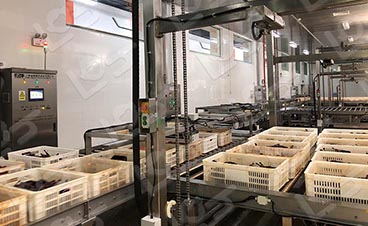 （六）在線清洗（CIP）系統(tǒng)設(shè)計(jì)在食品生產(chǎn)中的應(yīng)用