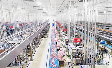 河南食品“智造”升級：自動化生產線打造“國人廚房”新標桿
