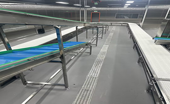 從原料到成品，全程‘智’送——冠猴智能打造食品廠高效輸送系統