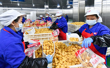 浙江食品企業加速智能化轉型 自動化生產線引領行業升級