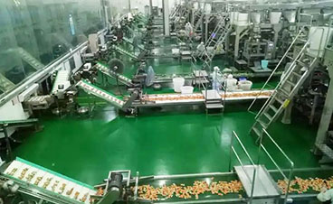 解碼甘源食品智能化生產線：全自動休閑食品生產線如何重塑行業品質標準？