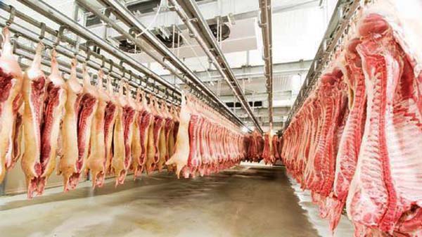 1634870928187927.jpg 1.jpg