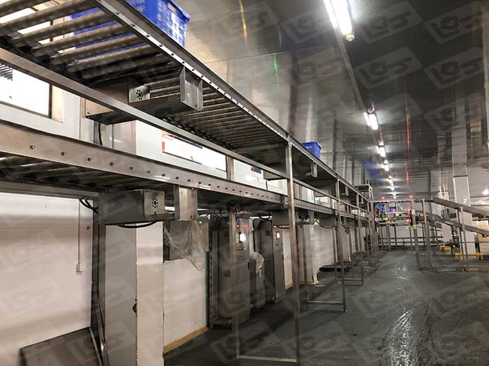高層雙層輸送線.jpg