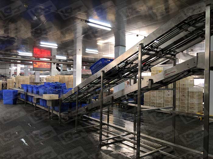 雙層爬坡輸送線 (4).JPG