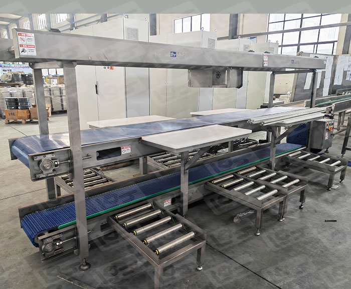 IMG_20220108_111401 (1).jpg