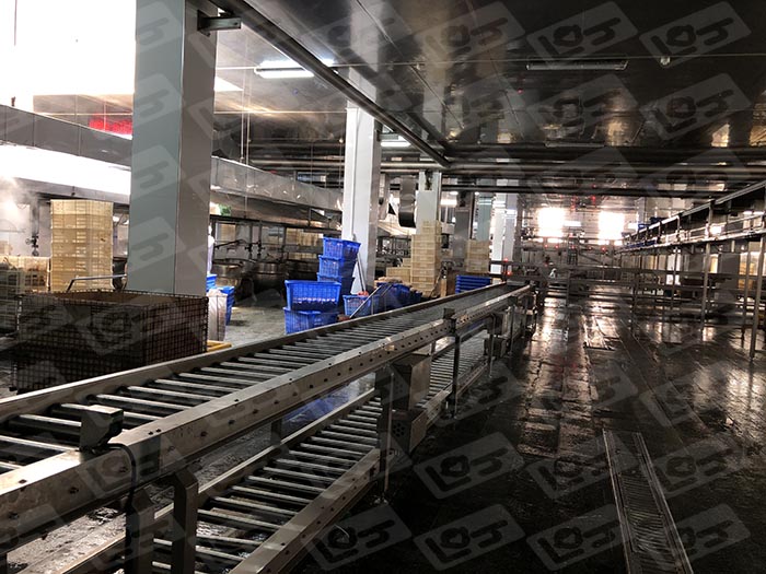 雙層輸送線 (5).JPG