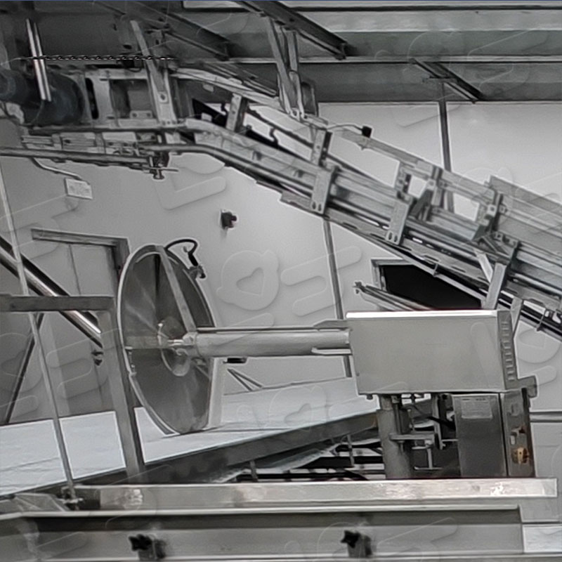 圓盤分割據 (1).jpg