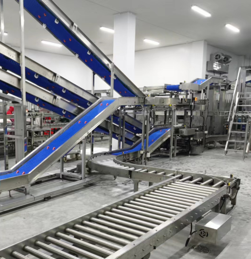 紅碎包裝輸送線.jpg