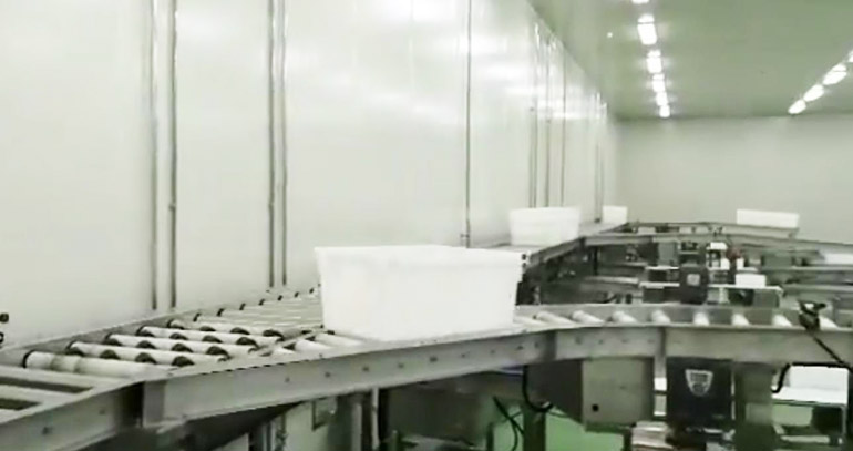 1747122659379426.jpg 00002.jpg