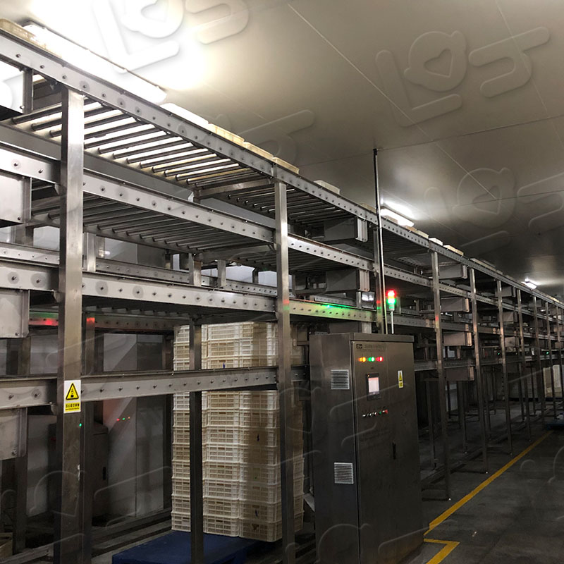 倉儲式輸送線 (4).jpg