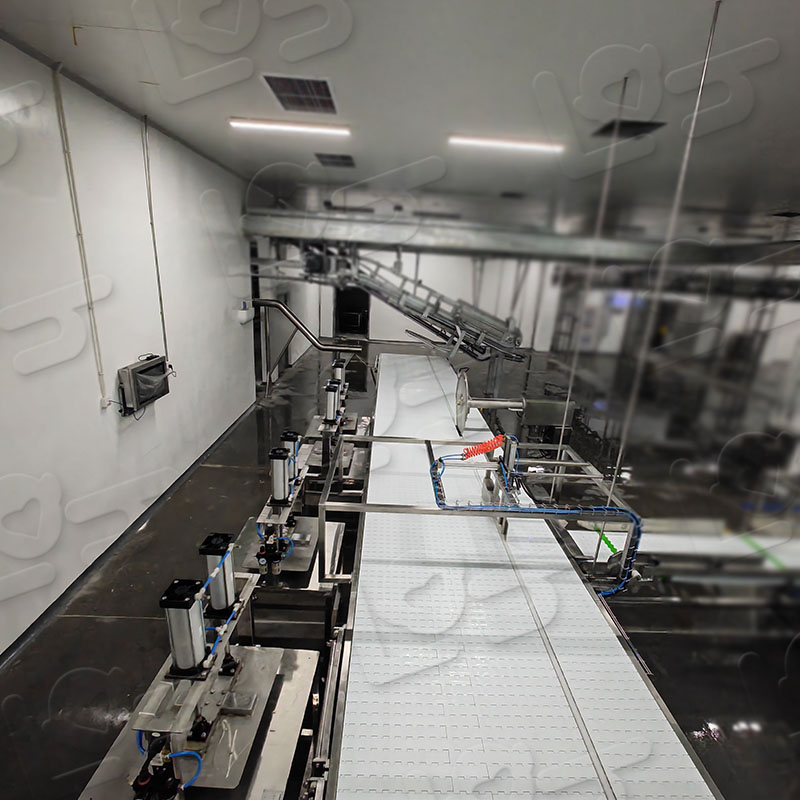 1751265841802443.jpg 分割剔骨輸送線 (1).jpg