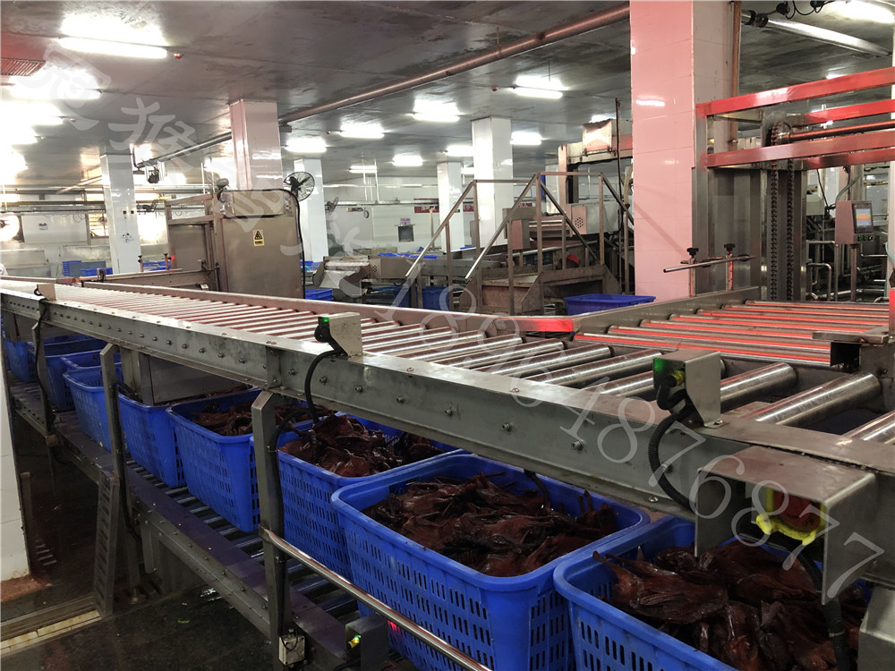 冠猴雙層輸送線 雙層輸送線.jpg