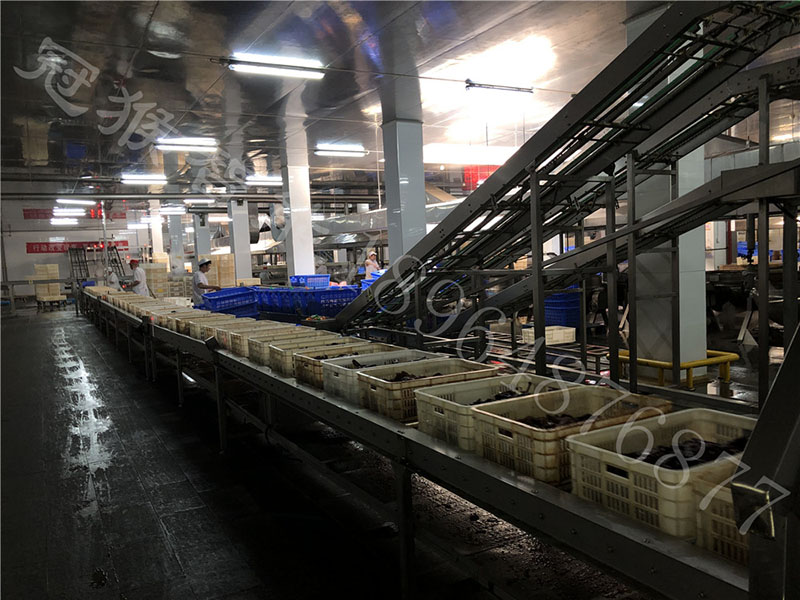 休閑食品生產(chǎn)線 食品輸送線01.jpg