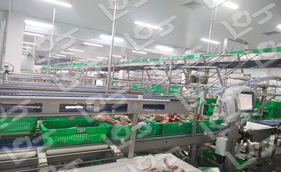 屠宰分割線 屠宰分割線