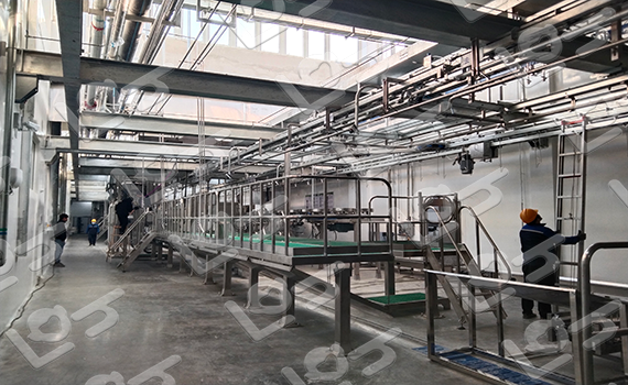 屠宰生產線衛檢 屠宰生產線衛檢