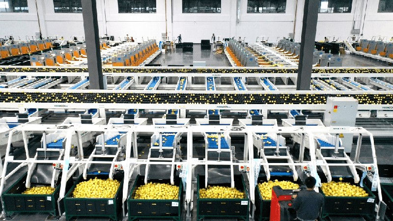 雪王生產(chǎn)線 雪王生產(chǎn)線