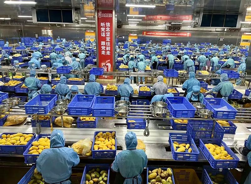 雪王黑燈工廠 雪王黑燈工廠