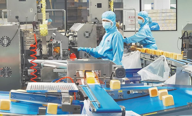 自動化產線 自動化產線