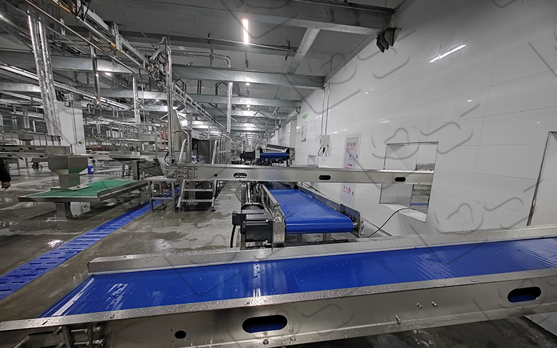 屠宰分割設(shè)備皮帶輸送線保養(yǎng)與維護(hù)指南