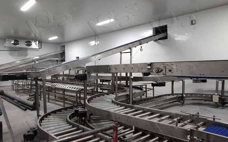 冠猴智能滾筒輸送線：以整廠設(shè)計(jì)，推動(dòng)食品工業(yè)物流變革